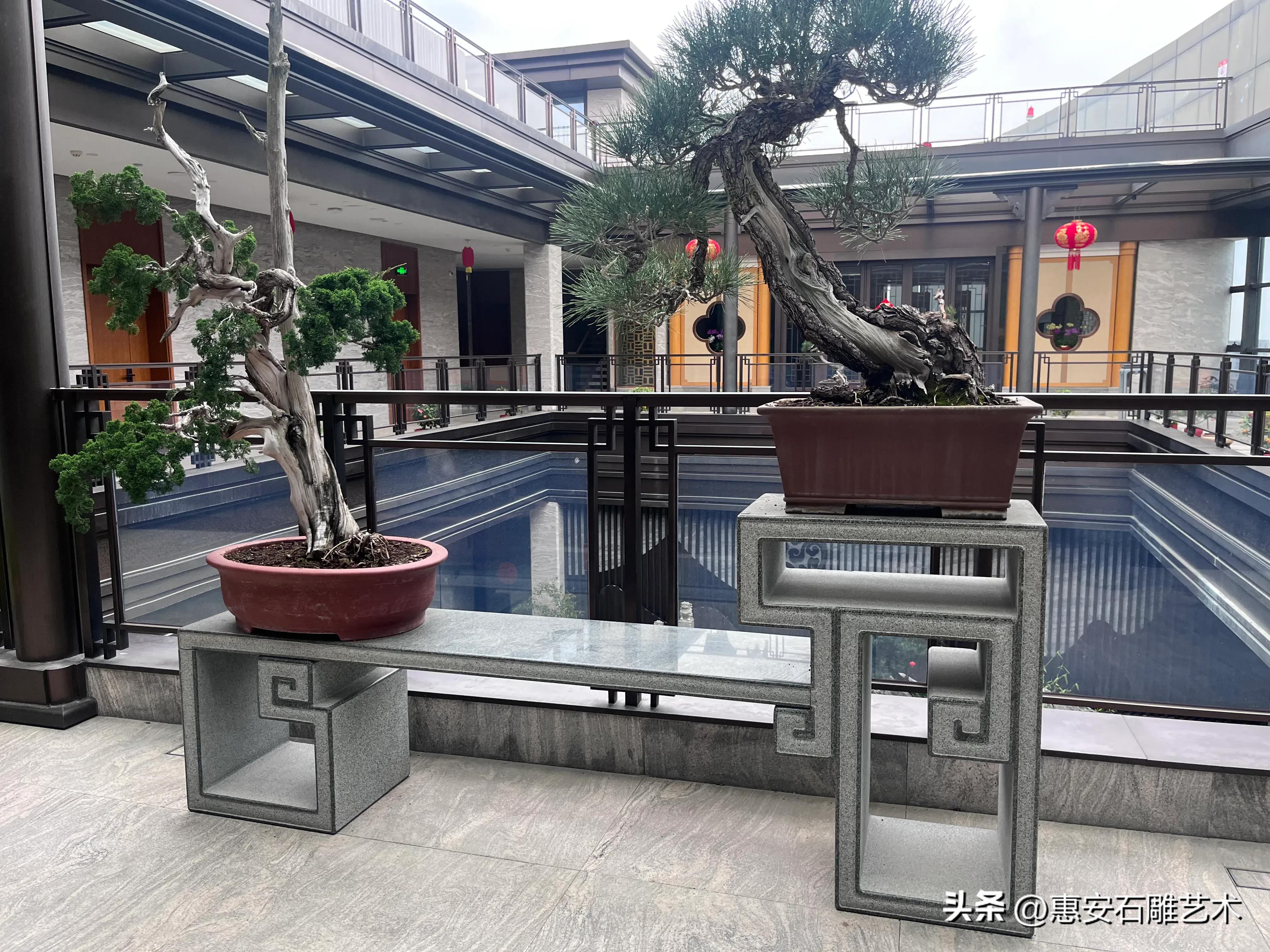 庭院盆景花架,庭院布置花架