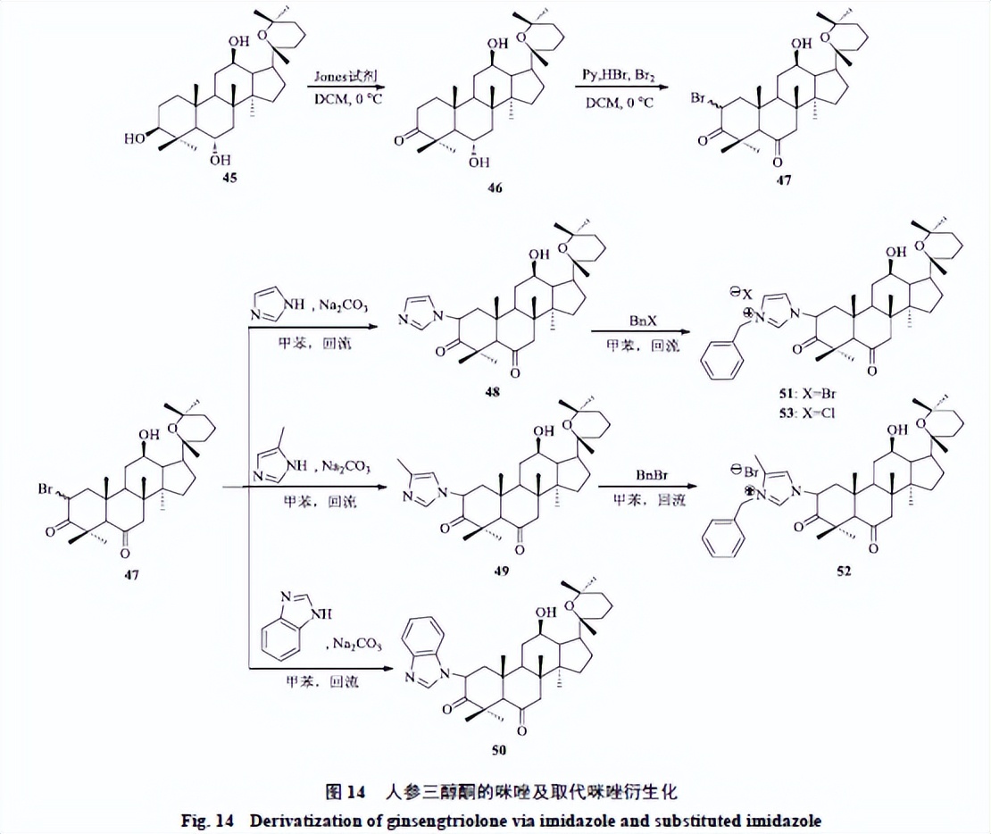 人参皂苷类化合物,人参皂苷结合物