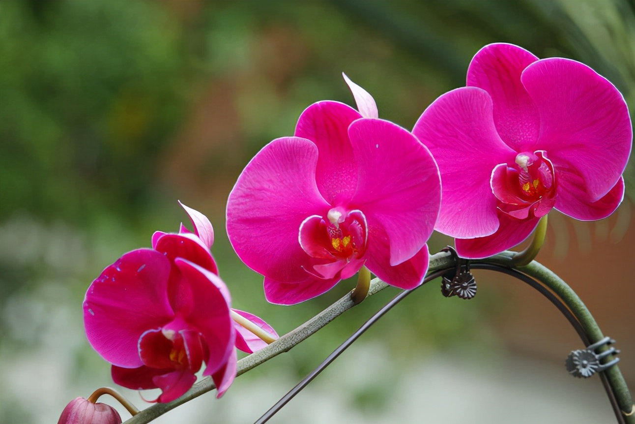 妻子背叛自己的婚姻该怎么办,婚姻中怀疑对方要不要找证据