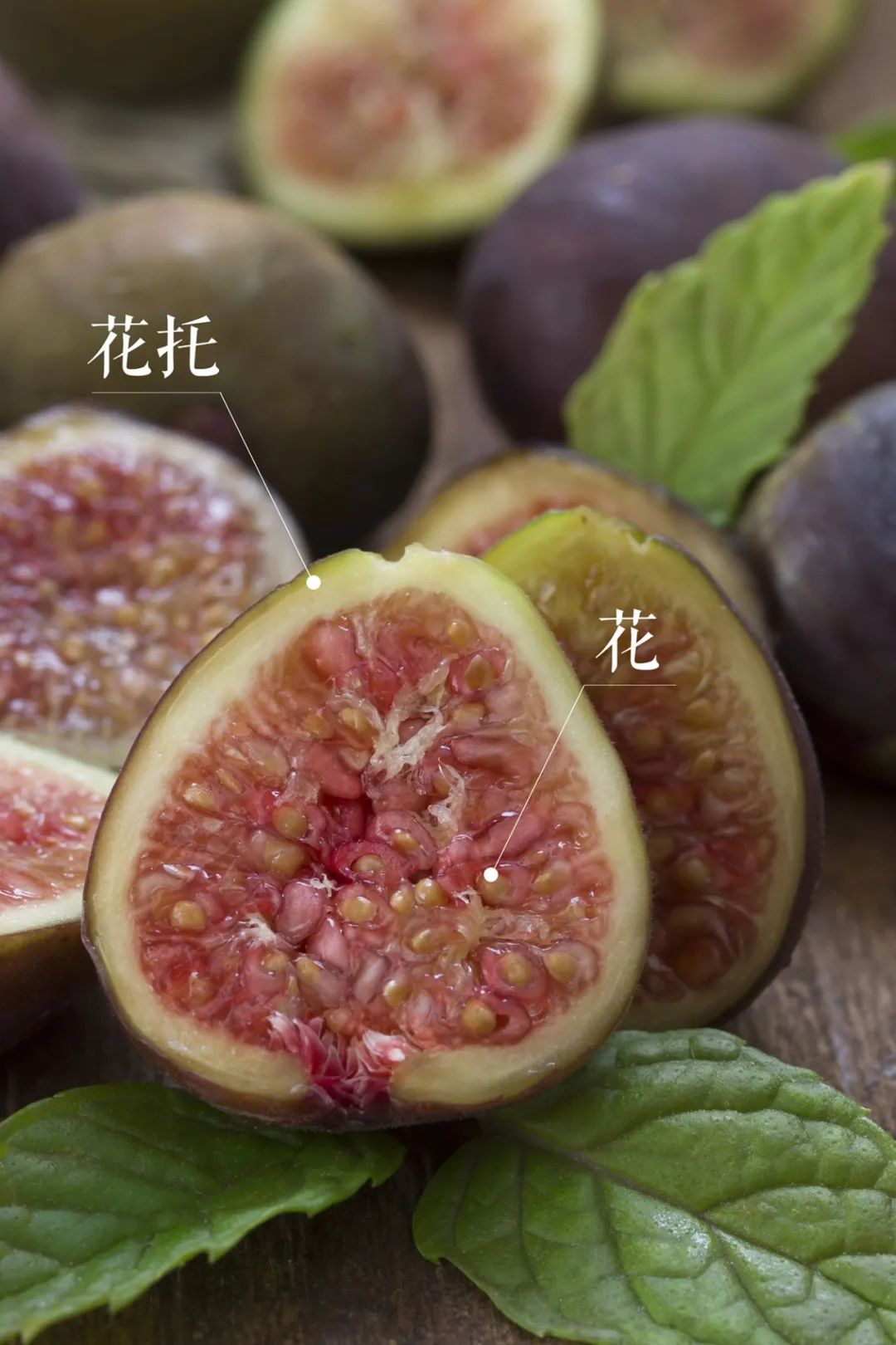 土特产无花果,无花果哪里最好吃最有营养