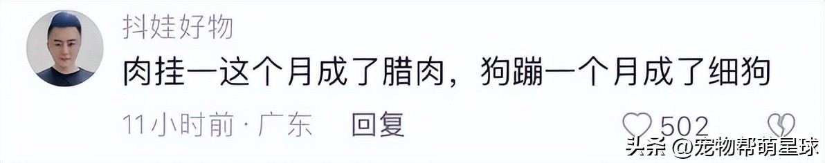 狗狗看见晒的腊肉香肠馋得直跳脚,狗子眼红主人吃肉