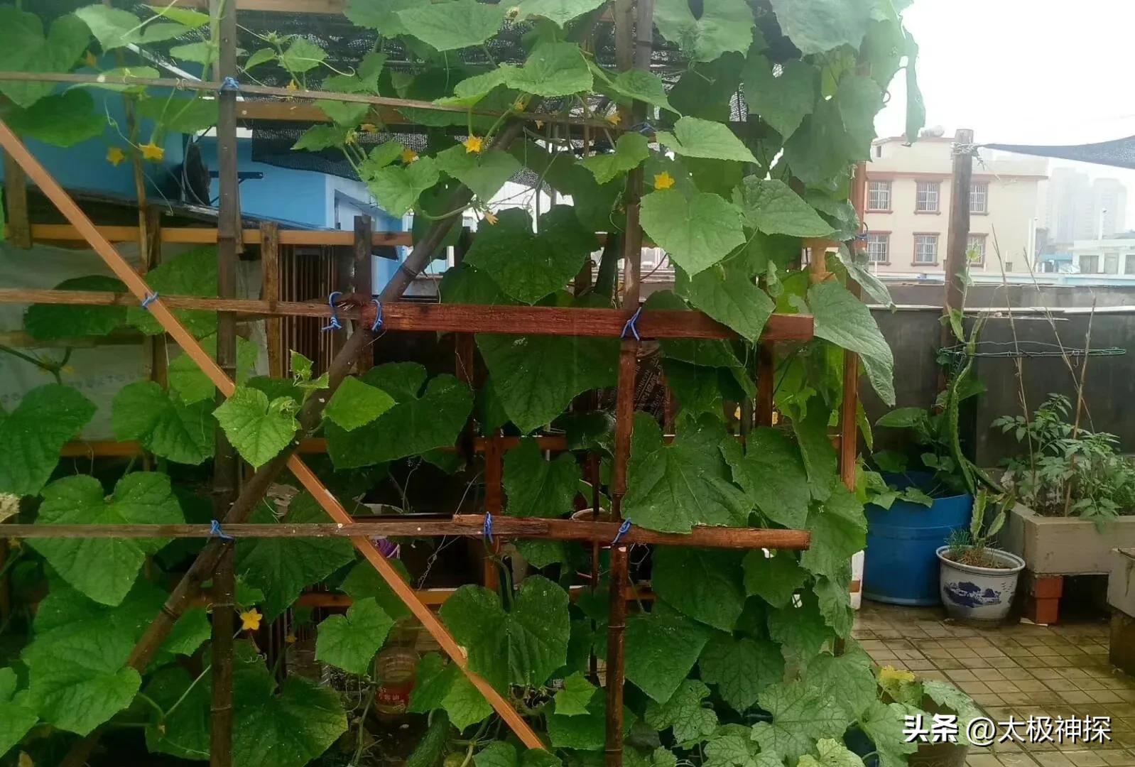 我理想的退休生活,退休后最理想的生活是什么