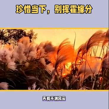 思维格局100例视频,思维格局馆