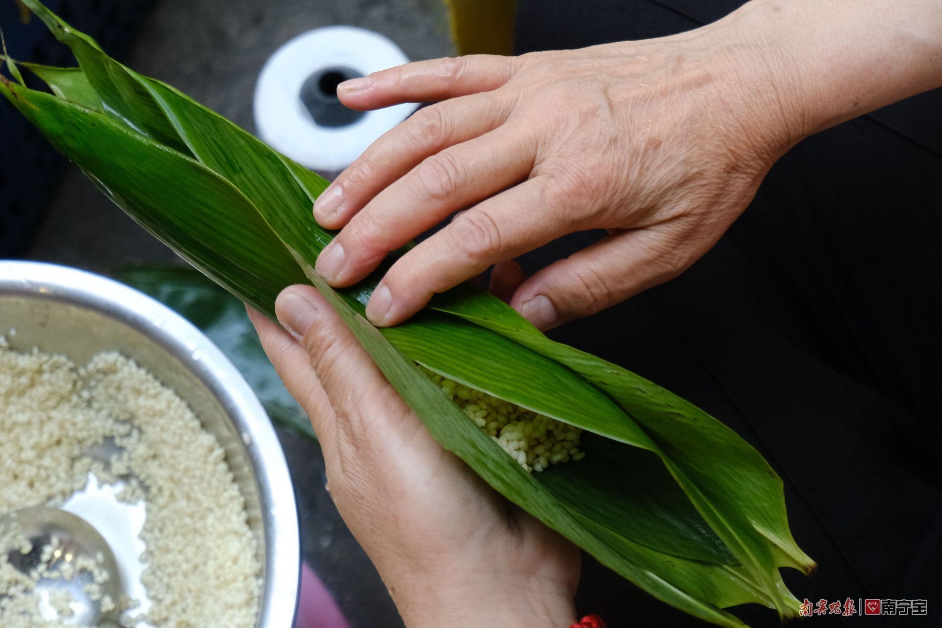 邕城印记图片,邕城印记兰花篇全文