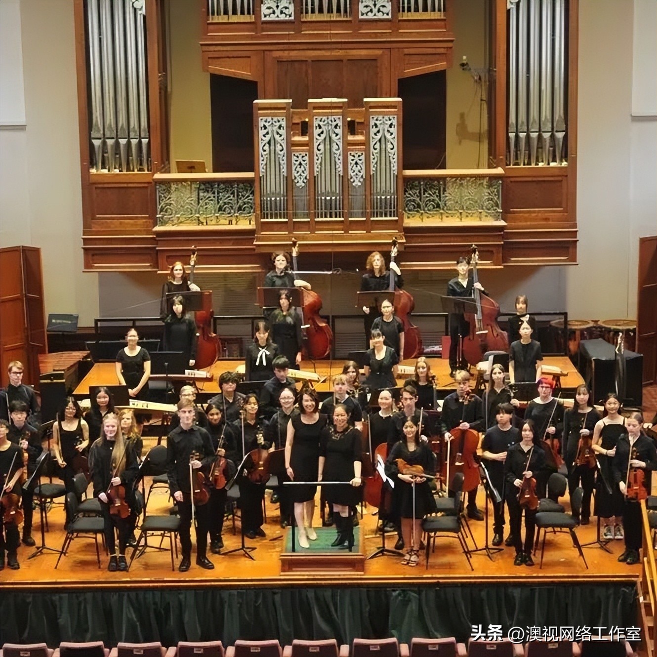 阿德莱德交响音乐会,阿德莱德音乐会