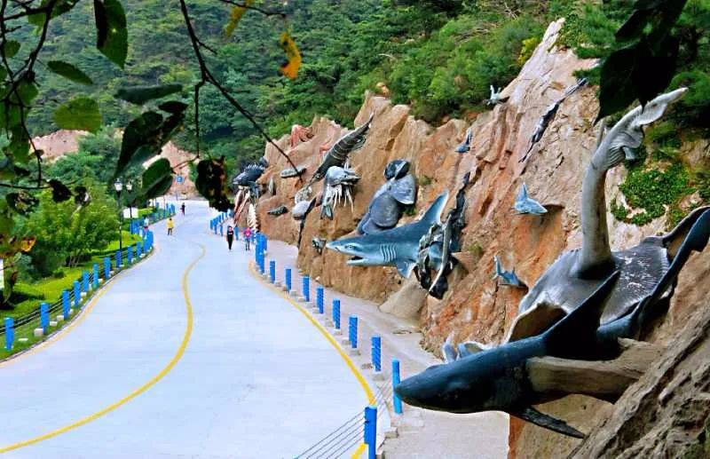 大连旅游攻略住宿推荐,大连旅游攻略三天游哪个岛好