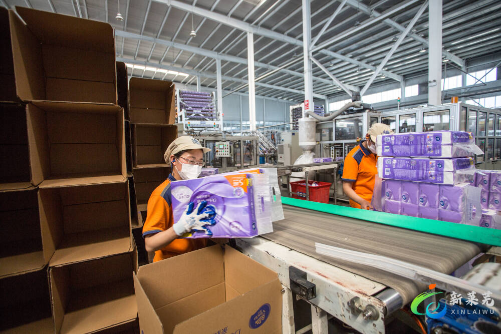 莱芜高新技术产业开发区是干啥的,莱芜高新技术产业开发区