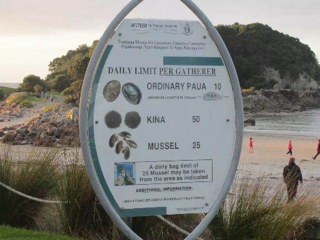 游客海边捡到一只鲍鱼被要500元,天价鲍鱼500一只