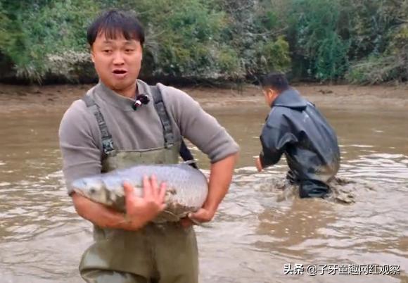 鱼塘抓鱼视频大表哥,鱼塘霸主大表哥