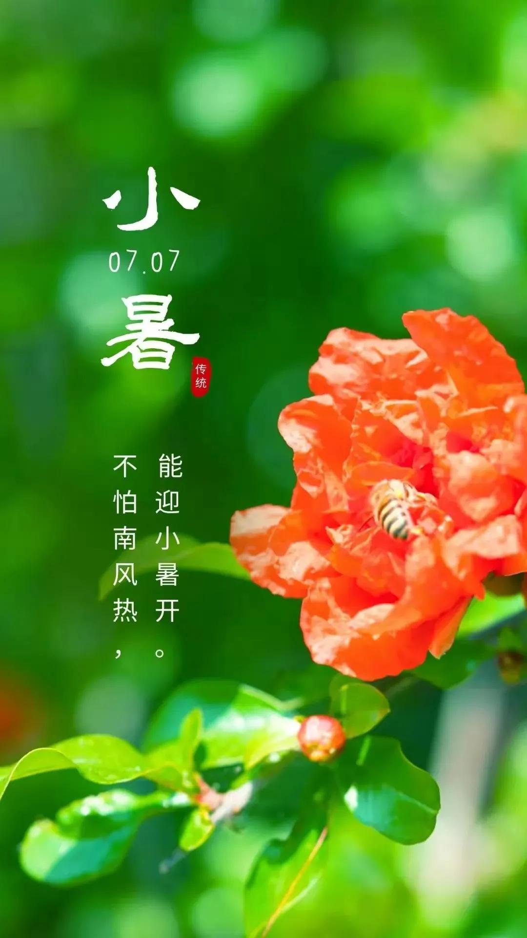 小暑节气祝福语图片简短,小暑节气的祝福语图片