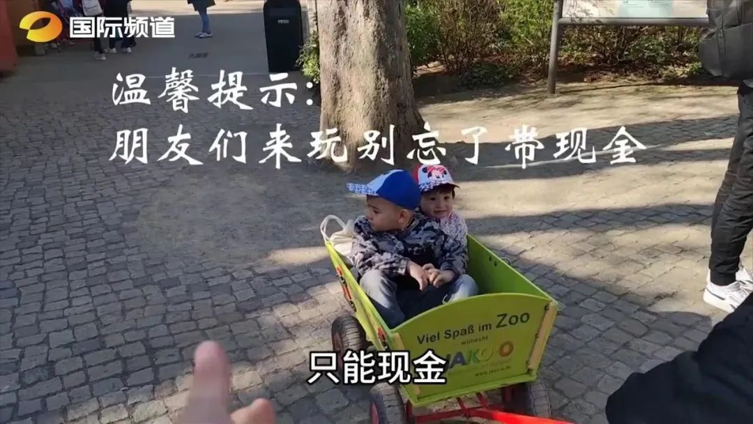 世界潮我看丨中外“导游”带你逛展览、品美食……云游世界