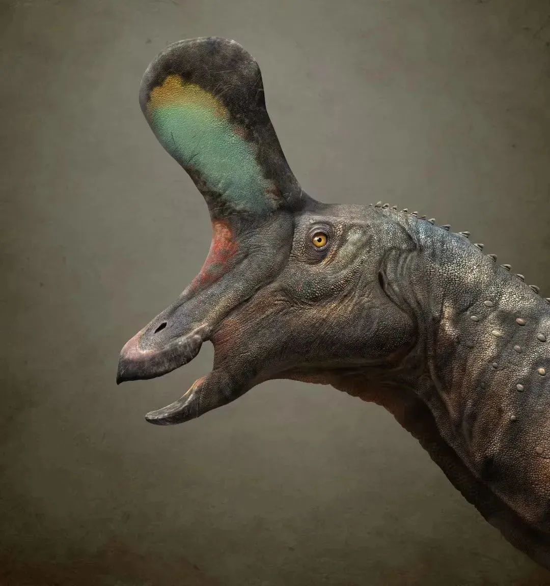 中国十大恐龙图鉴,100种恐龙名字图鉴图文