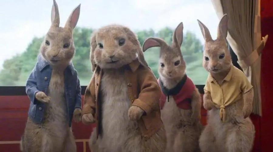 比得兔的故事书适合多大孩子看,比得兔儿童文学