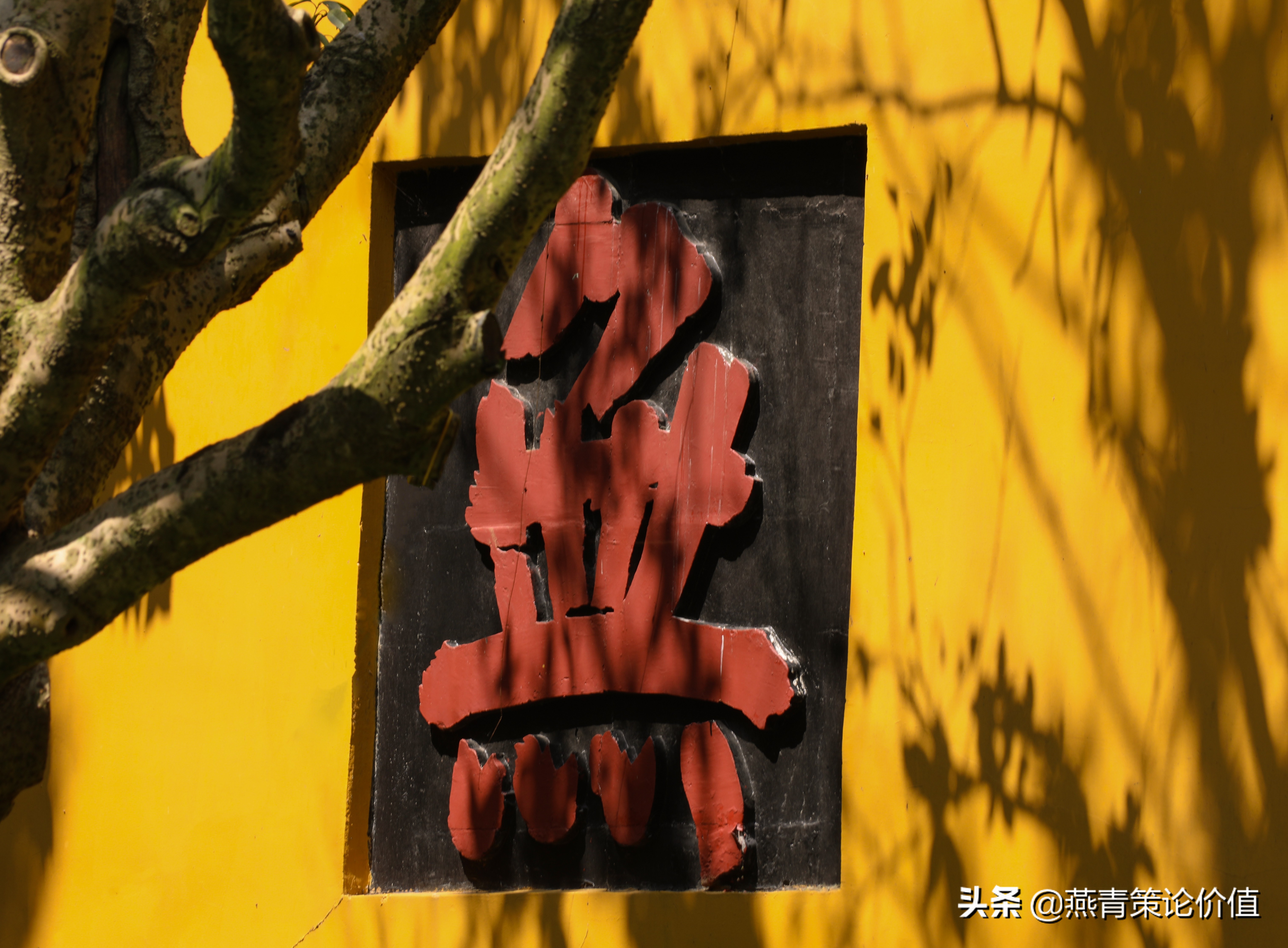 天道讲解股票盈利之道,天道深度分析股市