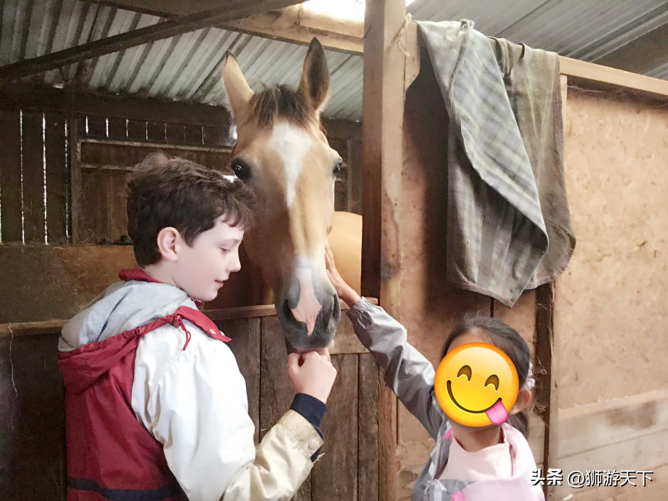 英国陪读活动,英国陪读的日常