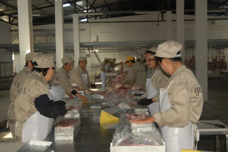 非凡十年乡村振兴,鄂温克旗三年规划