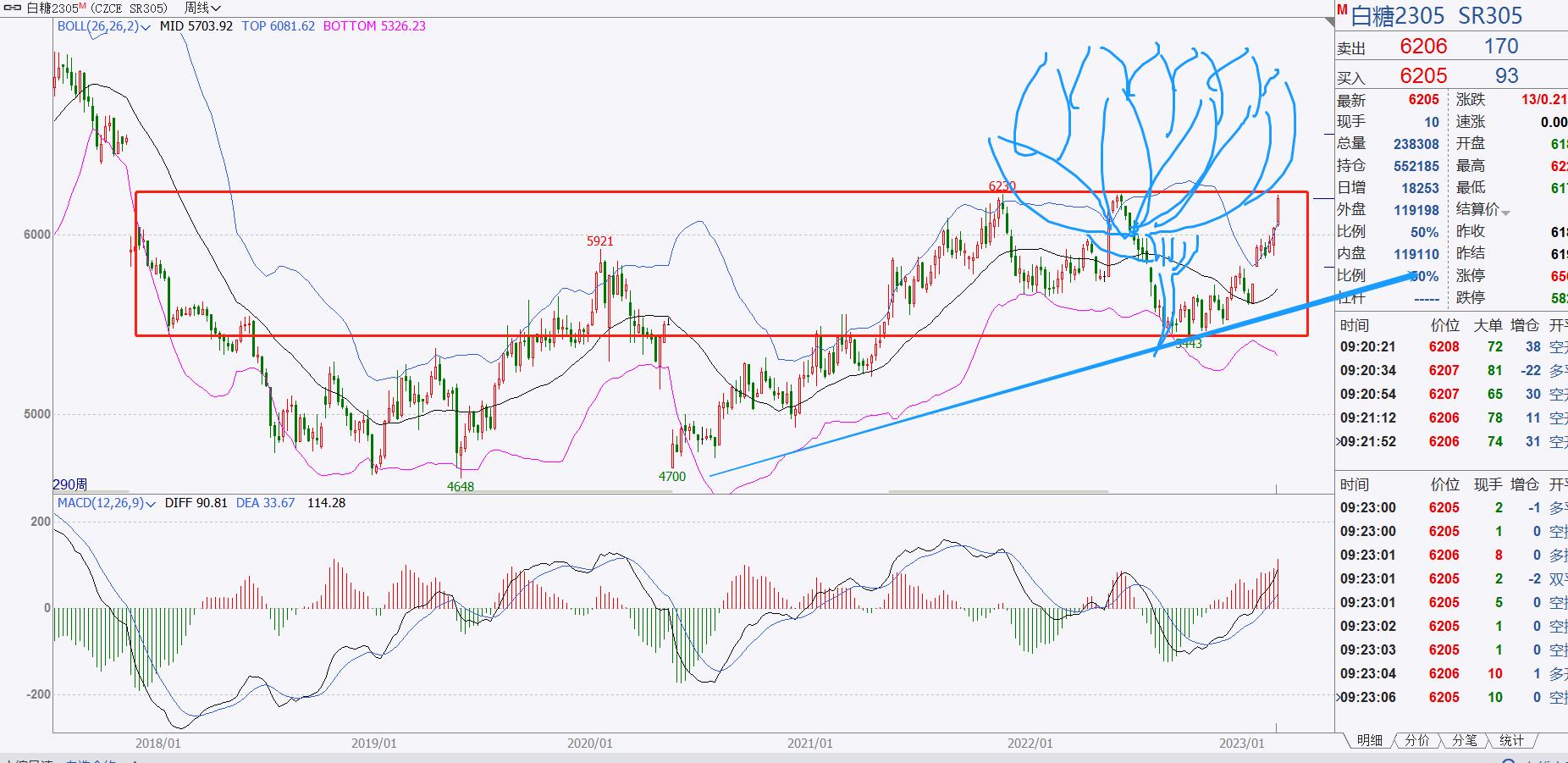 印度糖出口量预计将达到10年高点,全球糖价上涨解析
