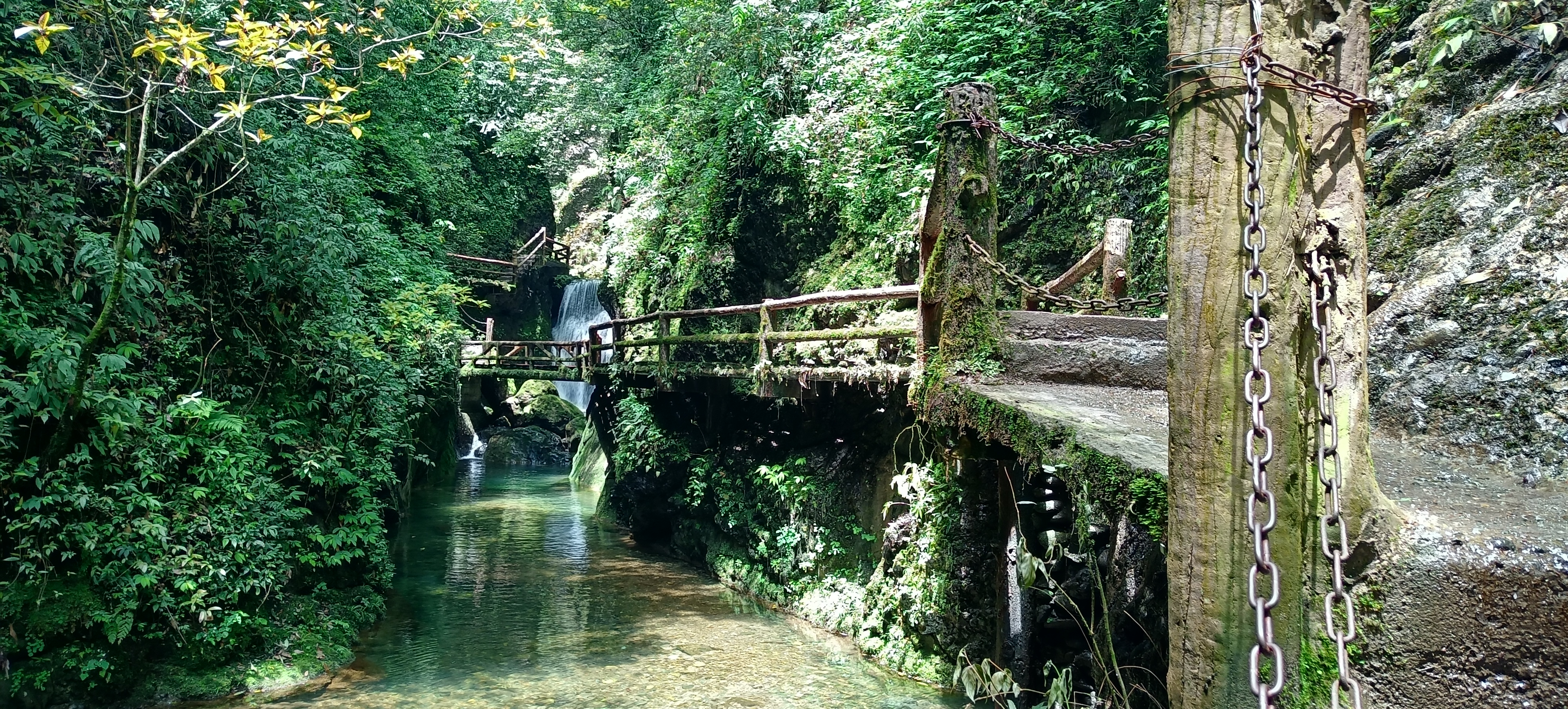 去成都青城山后山攻略,青城后山成都攻略