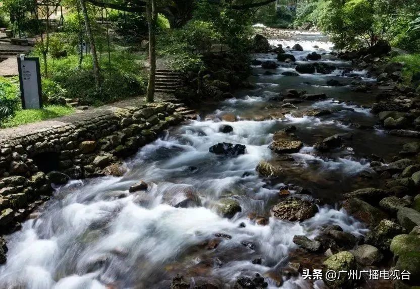 广州有哪些免费的旅游景点推荐,广州旅游优惠时间表