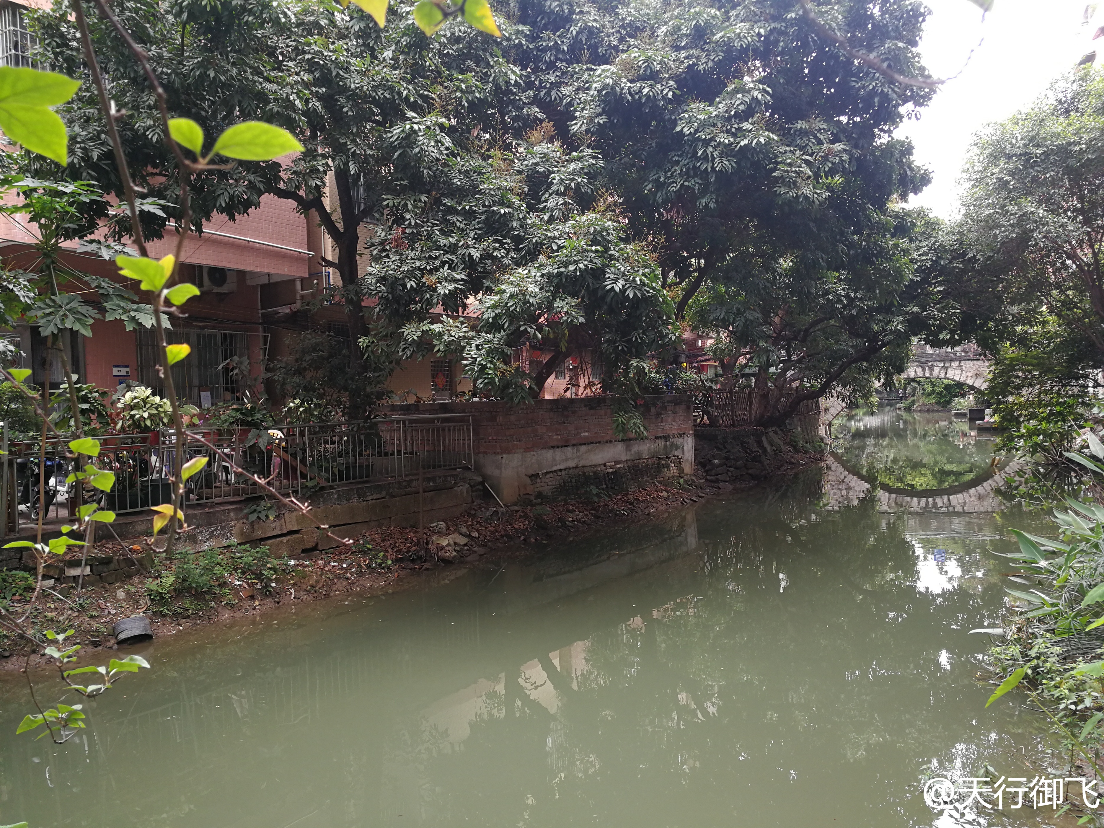 小洲村旅游景点地图,小洲村一日游最佳攻略