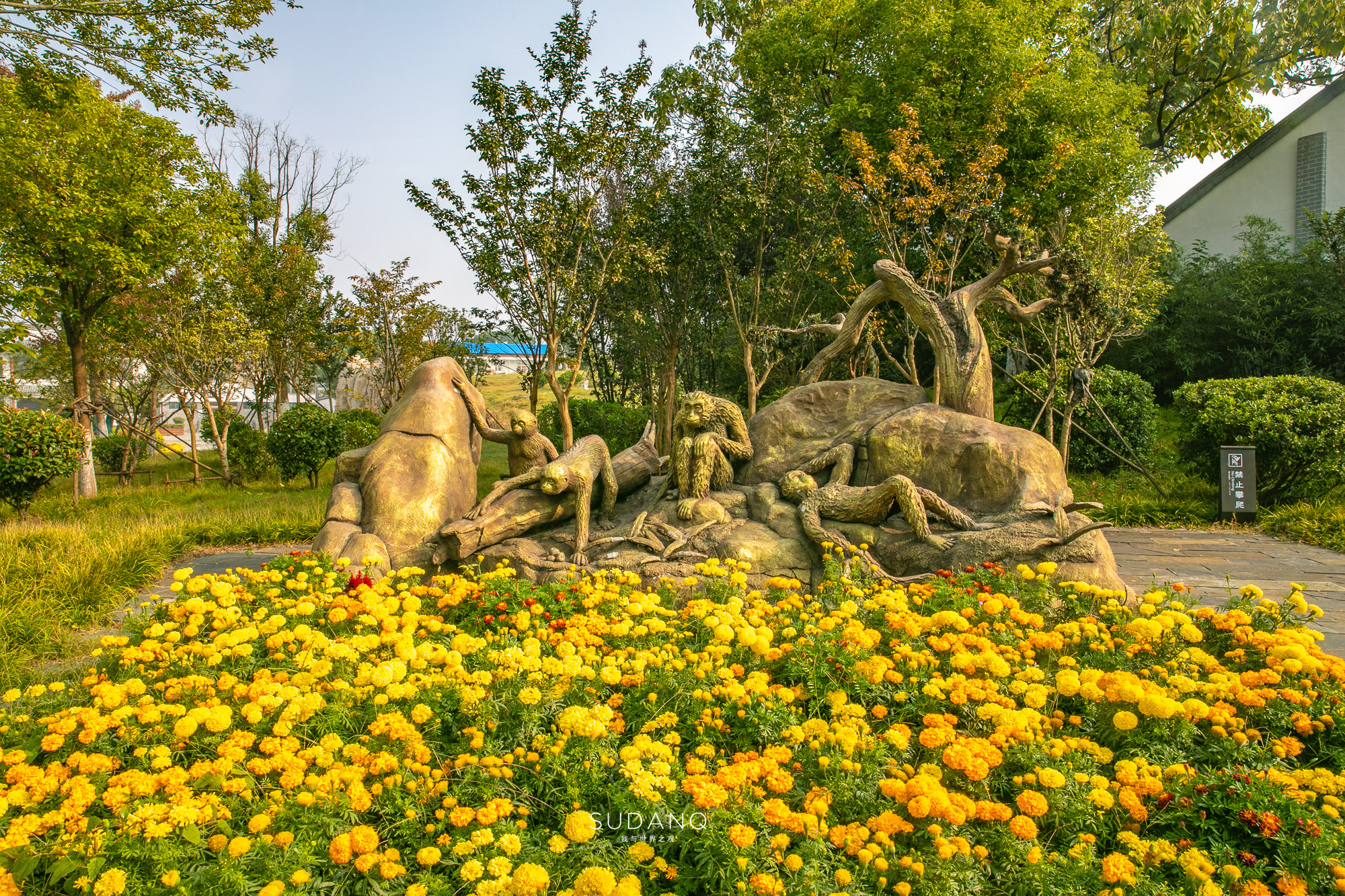 中国白酒看四川,中国白酒看贵州