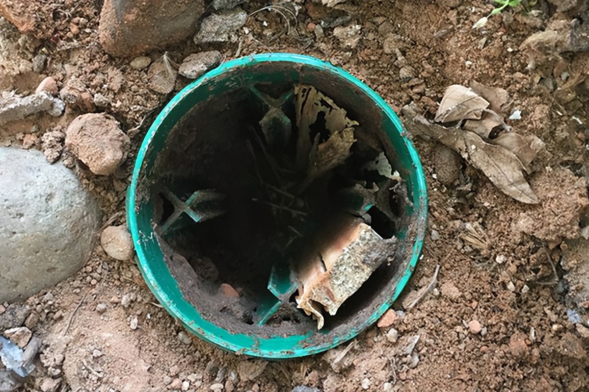 白蚁防治消灭白蚁简单有效方法,白蚁防治什么方法最有效