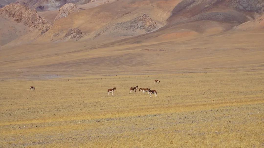 此生必驾318川藏需要多久到达,此生必驾的318到底有多美