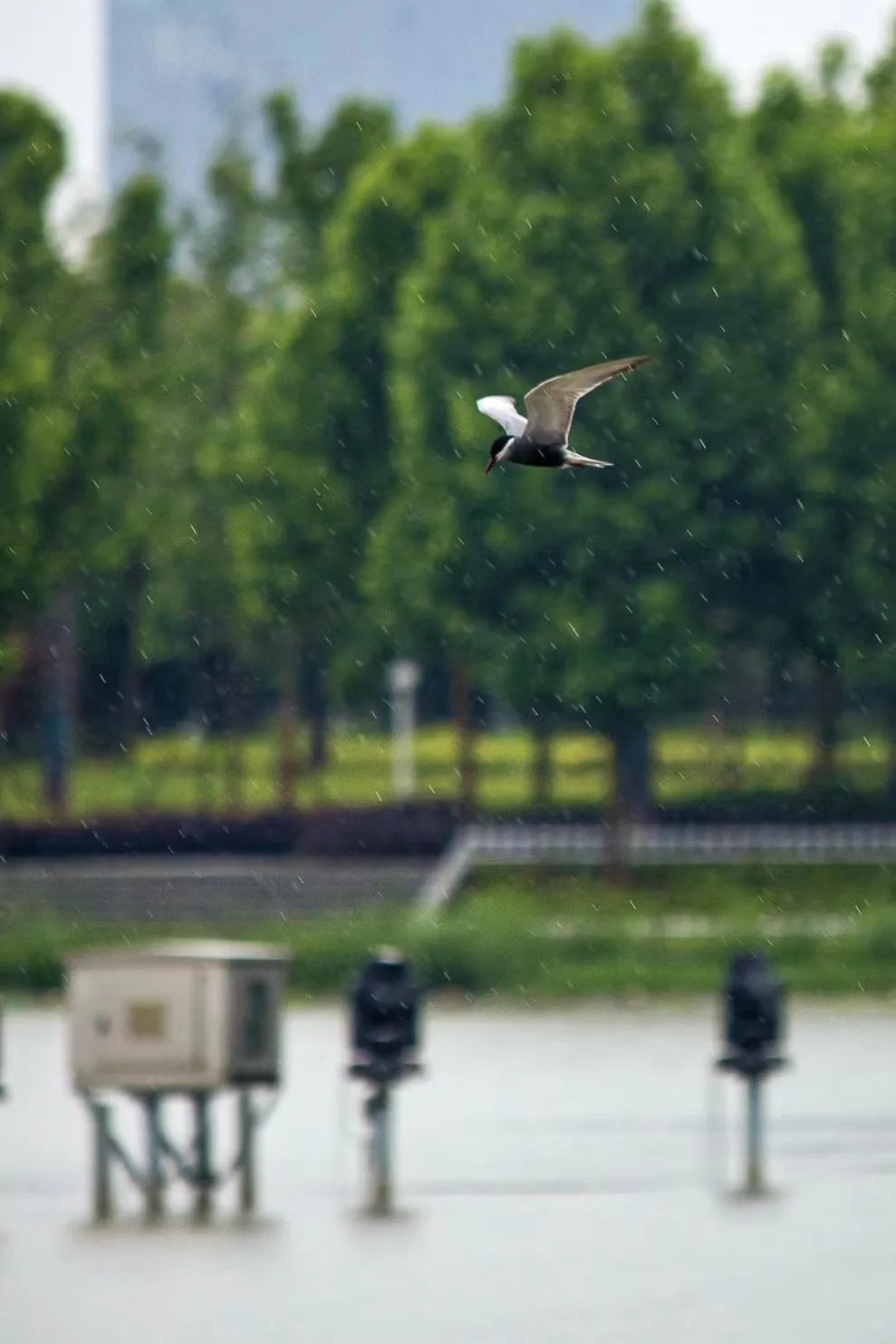 马骁国际艺术作品,马永辉摄影作品欣赏