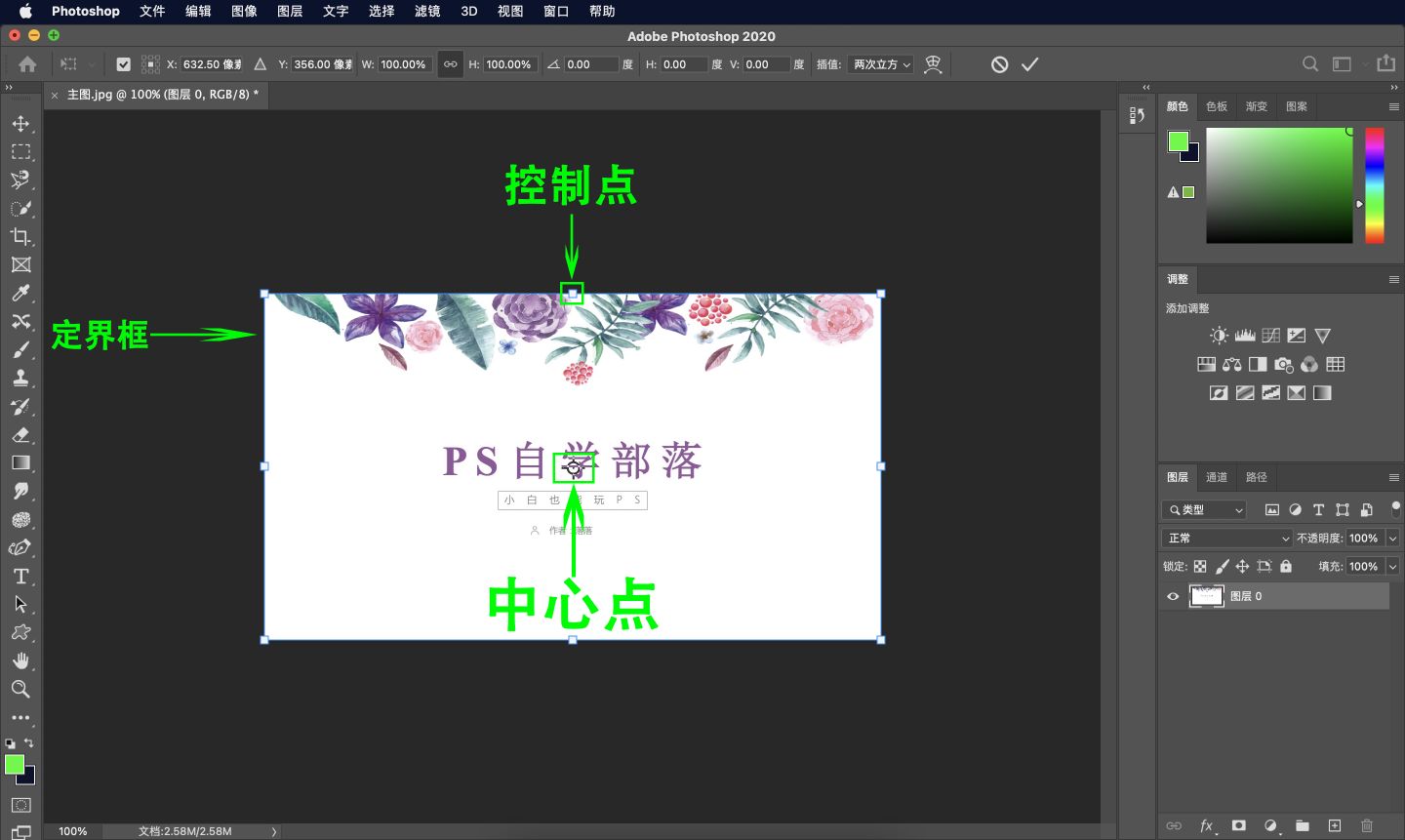 ps随意变换图形形状怎么设置,ps教程零基础学习第19课形状工具