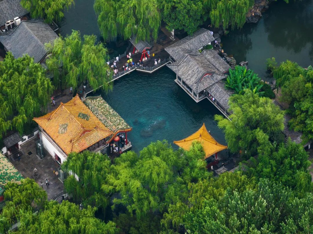 山东或成五一国内游新“顶流”,山东有望成为旅游顶流