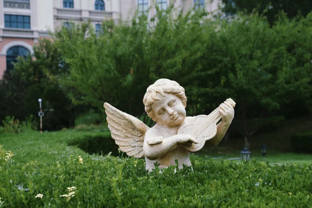 大连旅游住海景房,大连住哪里方便且海景美丽