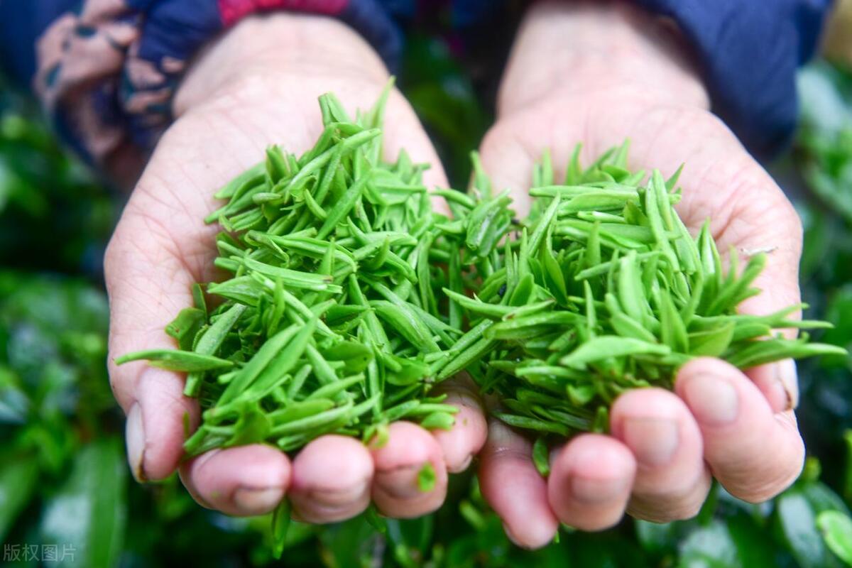 中国十大名茶中有没有大红袍,大红袍中国十大名茶