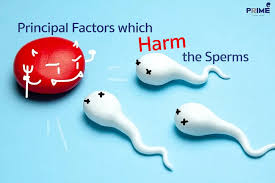 精子战争：生物史中最残酷的大逃杀，每个人都是亿里挑一的幸运儿