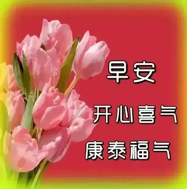 庚子日柱2023年癸卯年运势,癸卯年2023年哪个月出生最好