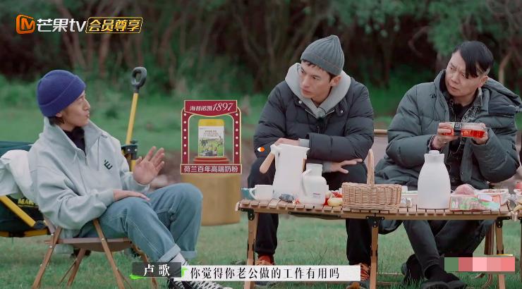 苏诗丁和卢歌再见爱人结局,再见爱人2苏诗丁和卢歌复合了吗