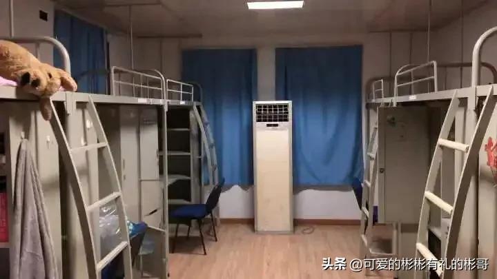 上海理工大学有发展前途吗,上海理工大学就业率全国排名
