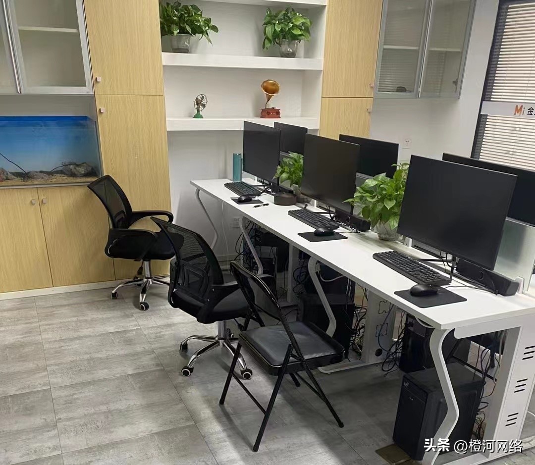 海外问卷调查是什么工作,海外问卷调查项目是真的吗