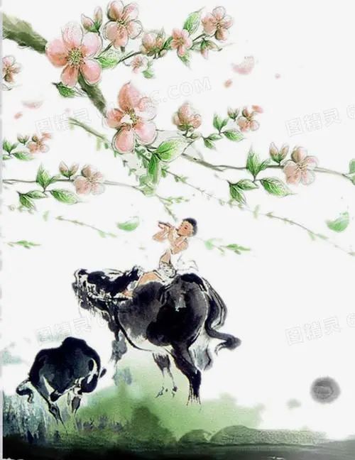 放牛娃山歌100首,放牛娃娃爱唱歌