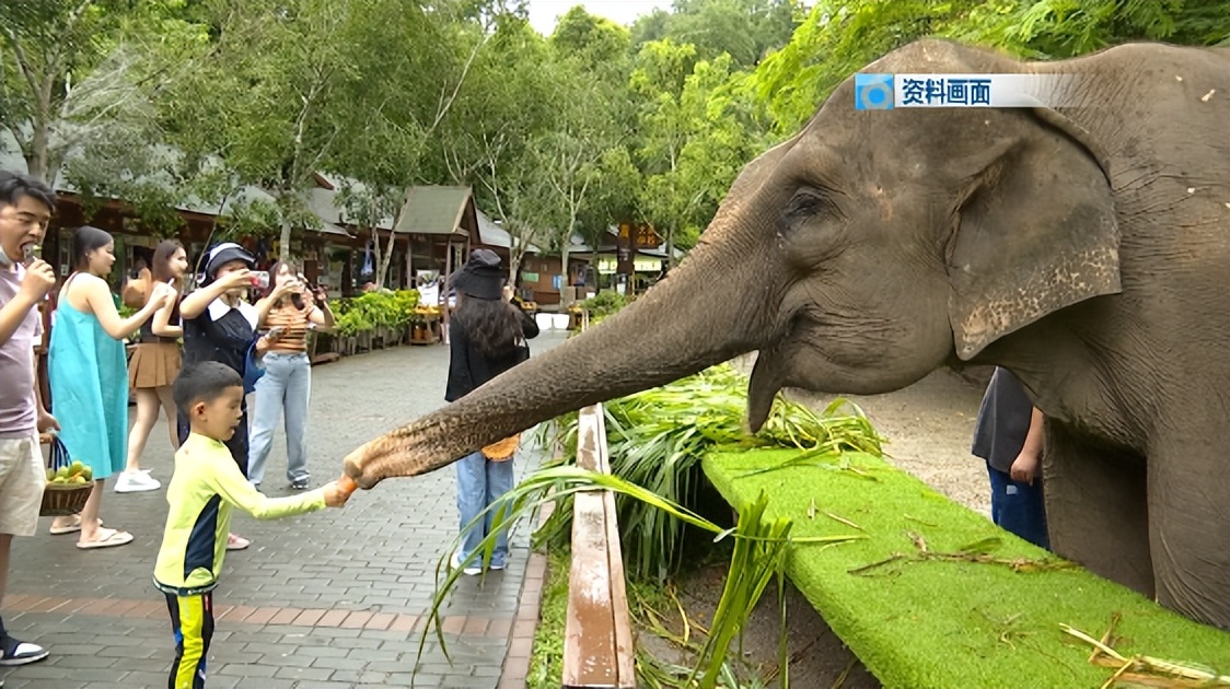 地铁、火车站、机场不再查验场所码、健康码,昆明旅游搜索量涨了160%