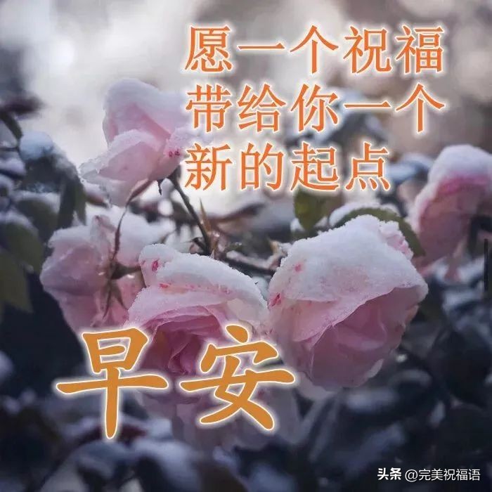 早上好表情图大全最新,早上好祝福健康平安动画表情