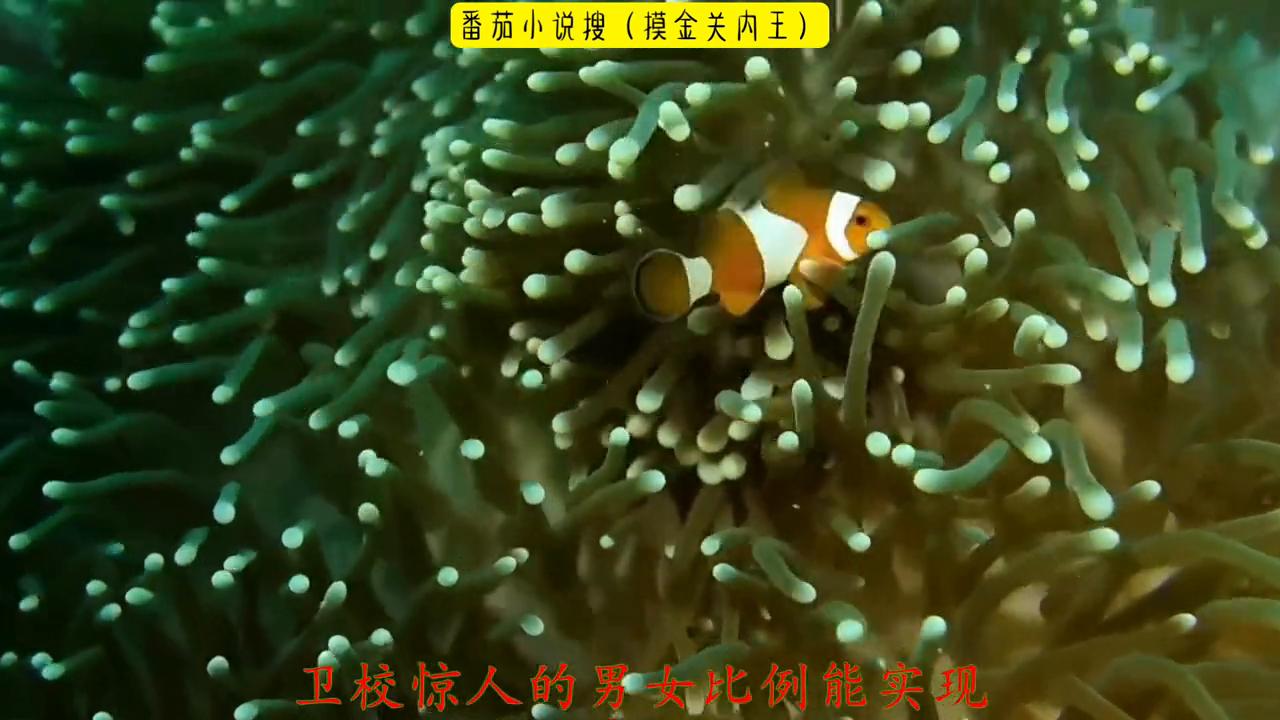 超爆小故事爱情,超爆小故事和校霸谈恋爱