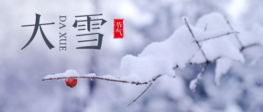 今日24节气大雪图片,24节气大雪小视频