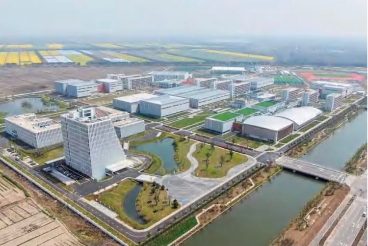 快来报名！揭秘世界冠军训练场地，探营崇明体育训练基地