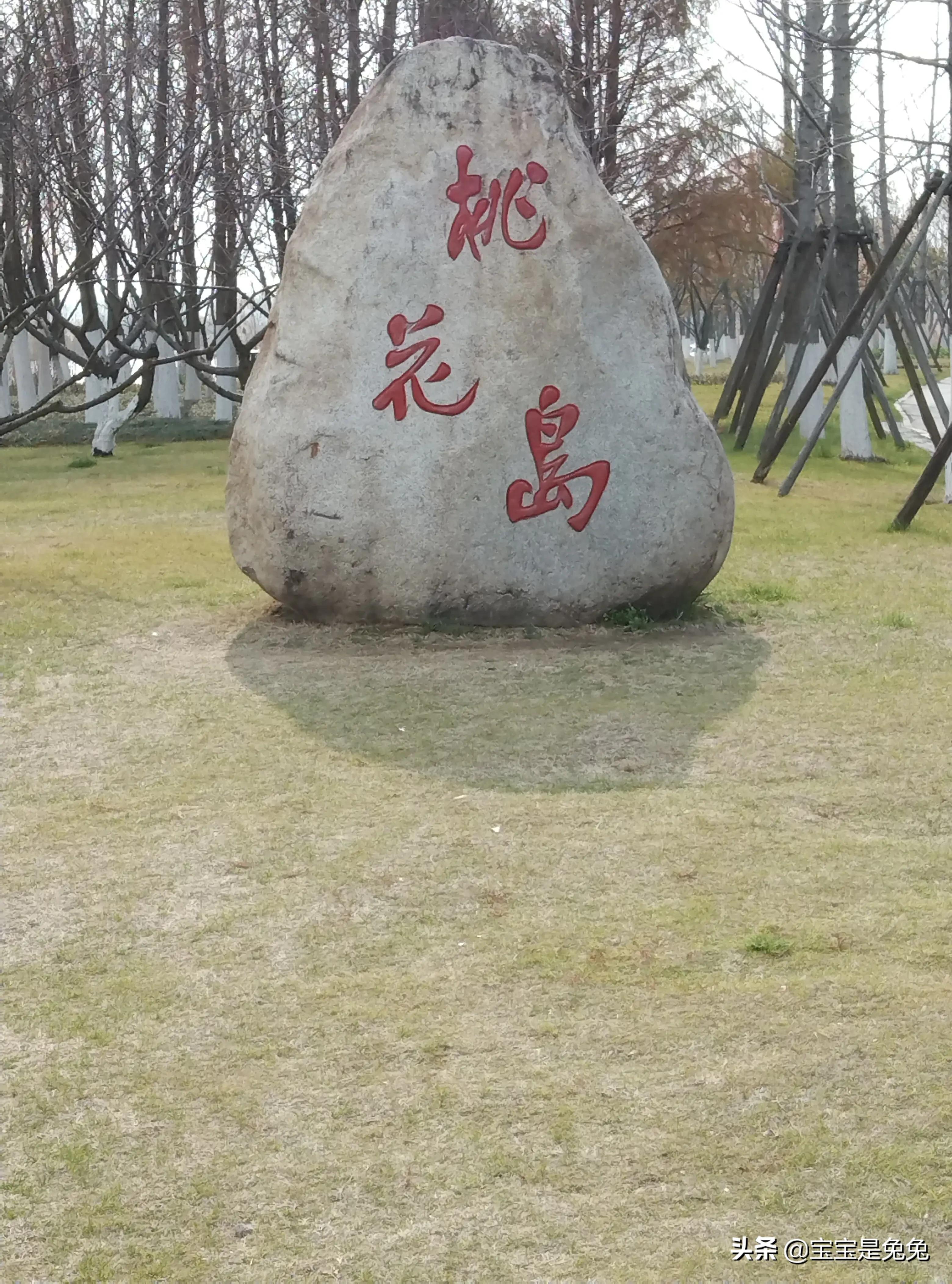 生日快乐我对自己说歌词完整版,生日快乐我对自己说视频