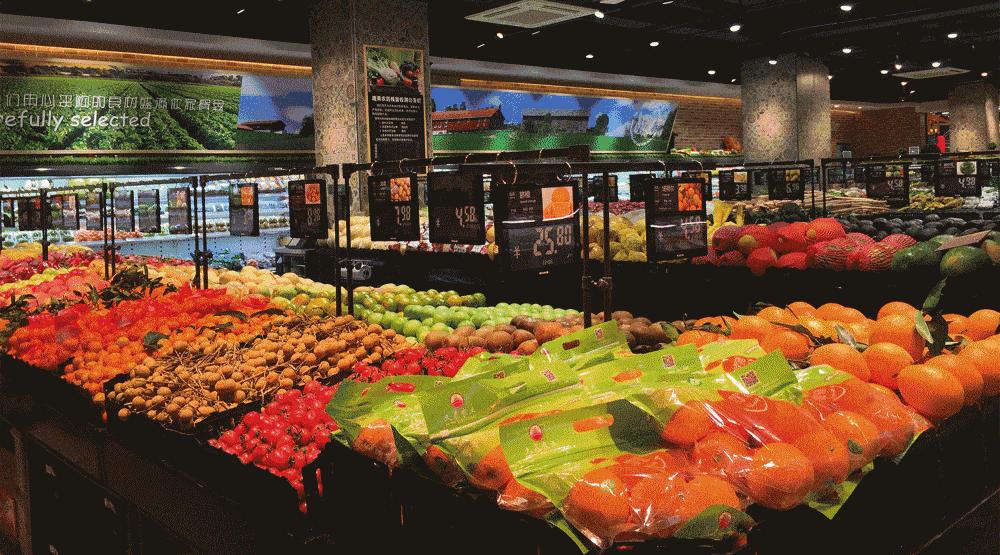 千亿集团破产案例,千亿支付巨头衰败原因