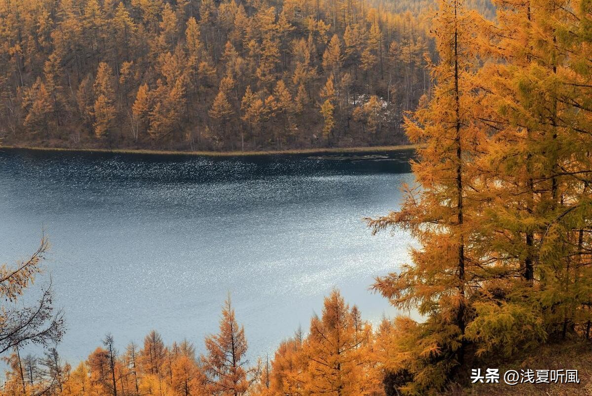 搬家的谚语怎么讲,孔子搬家的歇后语