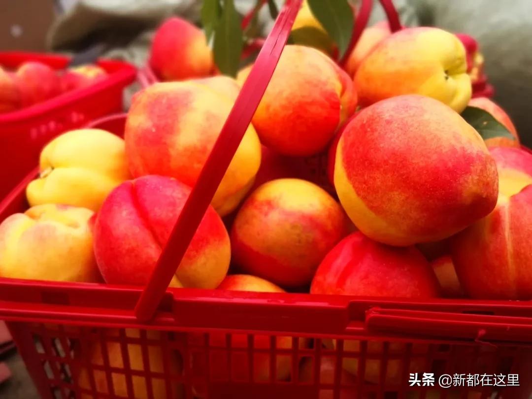 邂逅成都的100个生活细节,邂逅成都的一百个细节