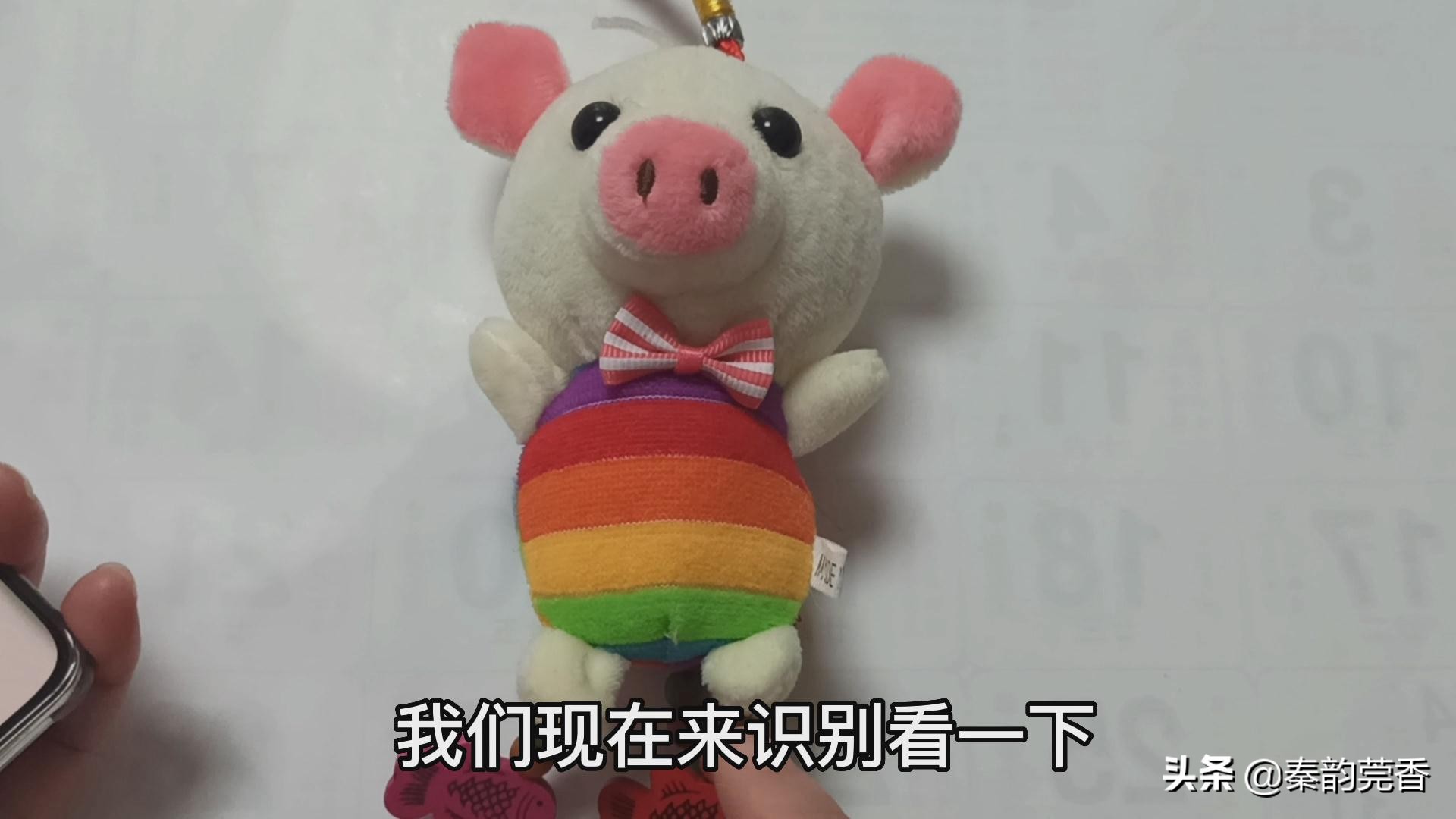 微信右上角加号有哪些功能,微信下方有个隐藏加号