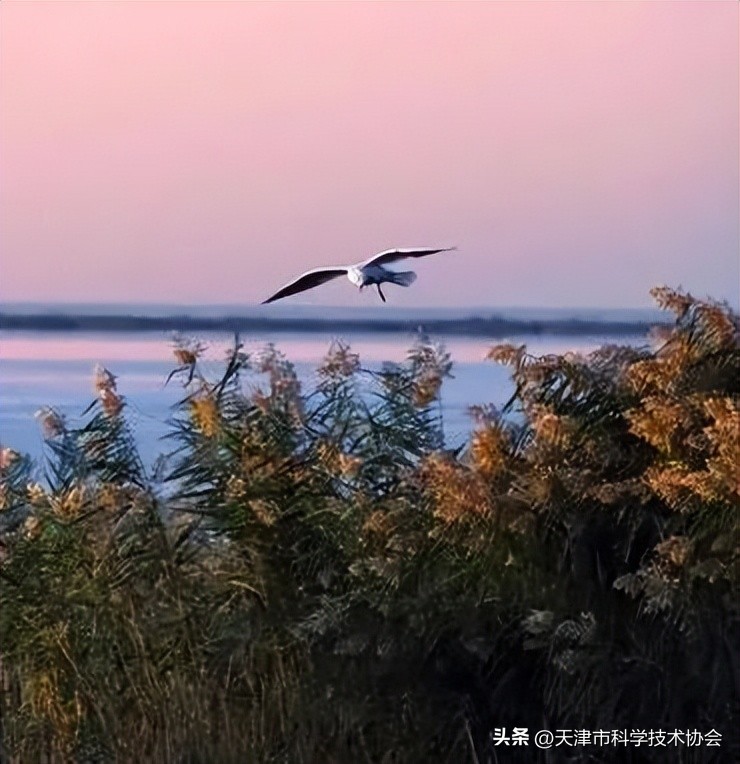 天津科技馆门票网上预约,天津科技馆免费门票预约