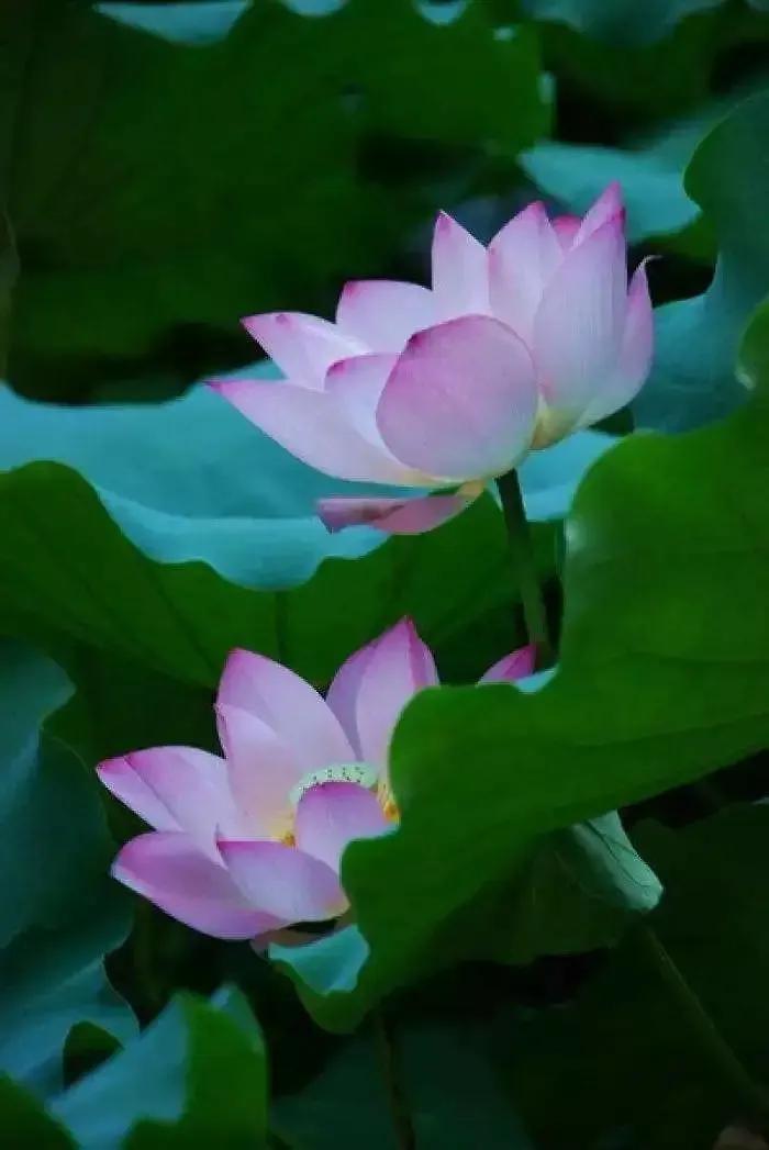 华山论道：寓意很好的八个汉字，代表八种人生智慧